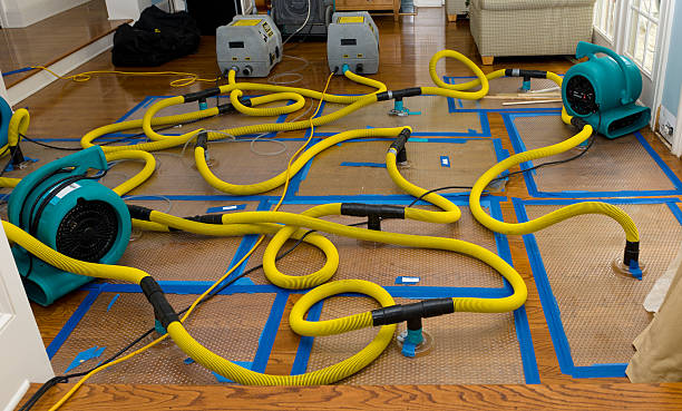 Professional Structural Drying And Dehumidification technician working in Bergheim, TX